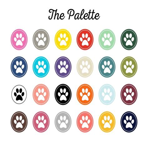 (@pawvvs) • Instagram photos and videos.